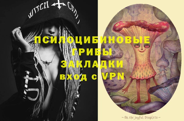 a pvp Коряжма