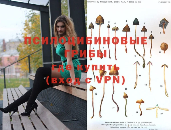 jwh Костерёво