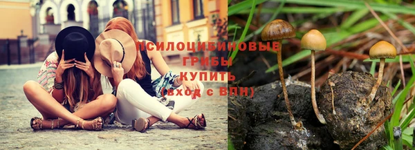 jwh Костерёво