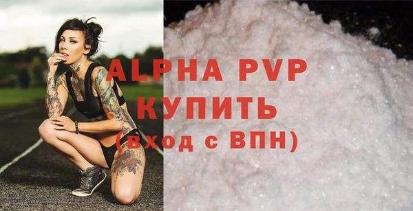 a pvp Коряжма
